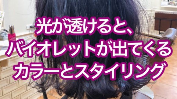 Throw Journal 光が透けると柔らかい紫の髪色が輝いています Eni 奈良県生駒市の美容室エニー 代表 安藤芳樹の公式メディア